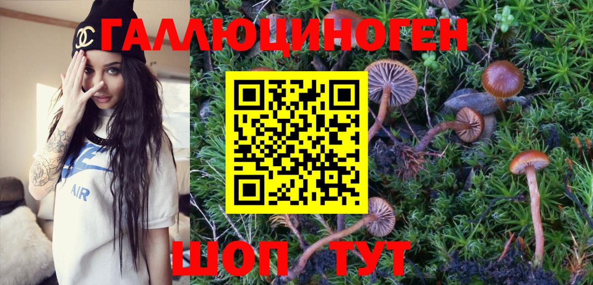 Псилоцибиновые грибы MAGIC MUSHROOMS  наркота  Клинцы  Вход с VPN 