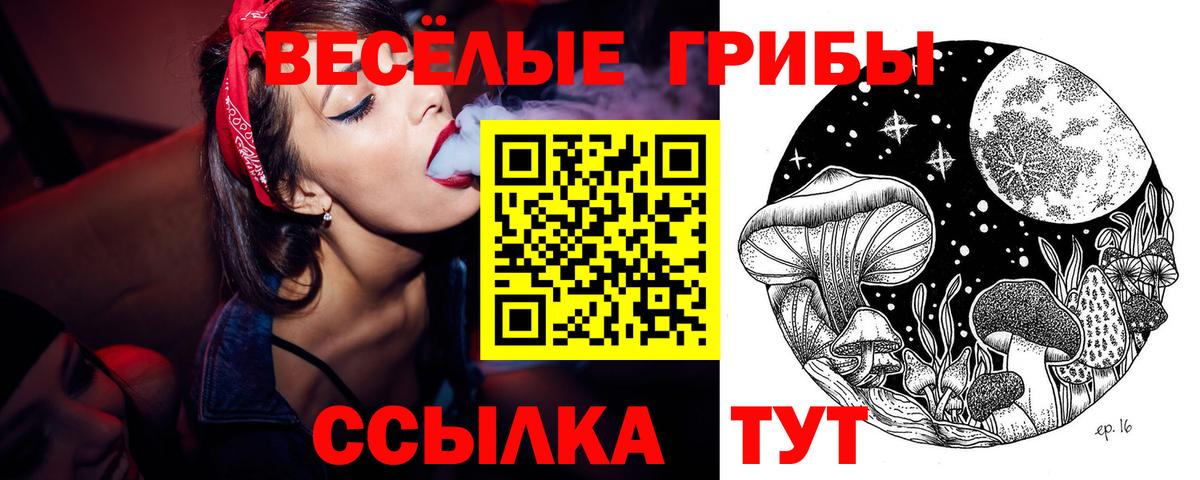 Галлюциногенные грибы MAGIC MUSHROOMS Клинцы